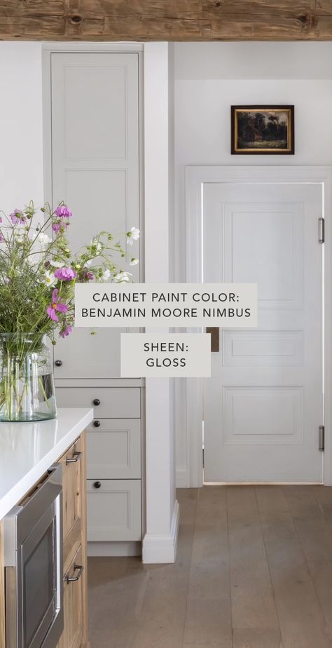 Nimbus Benjamin Moore, Benjamin Moore Nimbus, Pure White Paint Color, Cabinet Paint Colors, White Paint Colors, Benjamin Moore, Interior Paint, White Paints, Kitchen Remodel