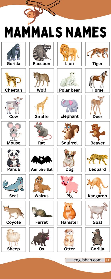 Mammals Names Mamals Animals Mammals, Animal Names For Kids, Mammals Animals, Animals Name In English, Basic English Grammar Book, Basic English Grammar, Animals Name, Phonics Flashcards, Preschool Fine Motor Activities