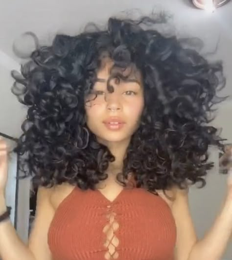 Big Short Curly Hair, Curly Hair Appreciation, Short Big Curly Hair, Medium Curly Hair With Layers, Poofy Curly Hair, Puffy Curly Hair, Curly Big Hair, Diva Cut Curly Hair, Thick 3b Curly Hair