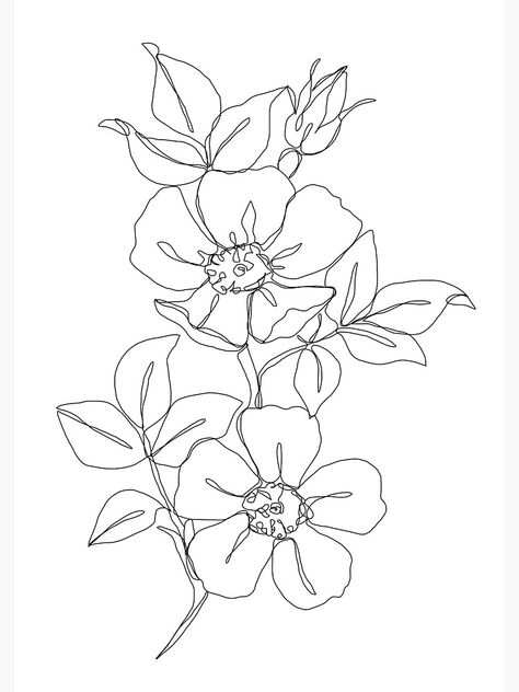 Colour Study, Line Art Flowers, Botanical Line Drawing, Flower Line Drawings, One Line Drawing, Floral Illustration, Color Studies, Black And White Illustration, Floral Illustrations