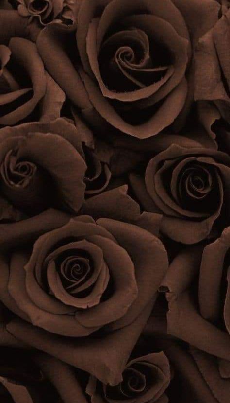 Floral Brown Wallpaper, Black And Brown Wallpaper Iphone, Rose Gold Fall Wallpaper, Brown Prints Aesthetic, Rosy Brown Aesthetic, Brown Aesthetic Vision Board, Chocolate Brown Wallpaper, Dark Brown Flowers, Nude Aesthetic Wallpaper