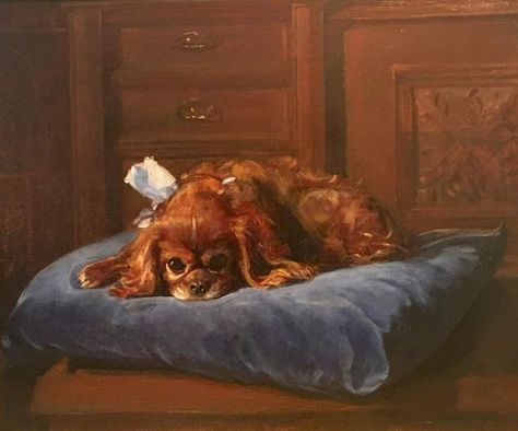 Every Dog Breed, Spaniel Art, Moonlight Painting, Funny Paintings, Animal Portraits Art, Dog Artwork, Canine Art, Fairytale Art, Old Paintings