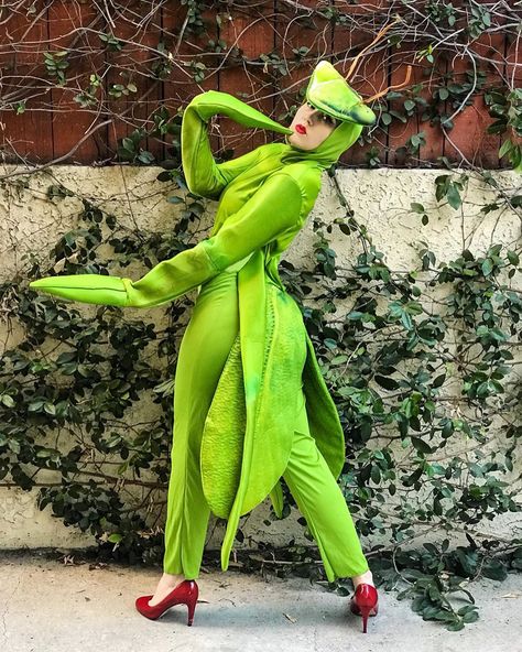 Praying Mantis Costume, Mantis Costume, Bug Costume, Diva Party, Flower Costume, Mardi Gras Costumes, Praying Mantis, Family Halloween Costumes, Creative Halloween Costumes