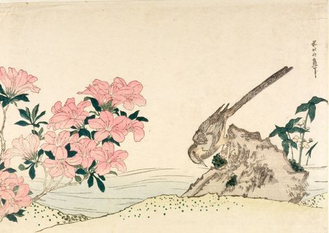 Wagtail and Azalea | Harvard Art Museums World Painter, Azalea Color, Artwork Flowers, Mediterranean Art, Botanical Line Drawing, Harvard Art Museum, Katsushika Hokusai, Japan Culture, Macbook Wallpaper