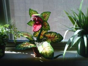 Man Eating Plant, Man Eating, Halloween Forum, Decoration Vitrine, Little Shop Of Horrors, Halloween Aesthetic, Carnivorous Plants, Halloween 2017, Halloween Inspiration