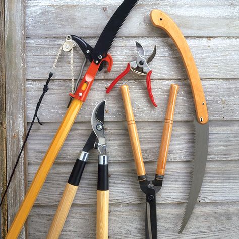 Tools Background, Gardening Shears, Trimming Hedges, Aesthetic Gardening, Tools Aesthetic, Hedge Shears, Pruning Tools, Plant Tissue, Garden Shears