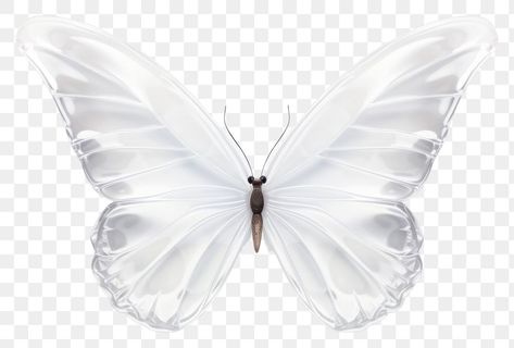 About Butterfly, Butterfly Animal, Simple Butterfly, 3d Butterfly, 3d Butterflies, White Butterfly, Butterfly Wings, 3d Illustration, Png Transparent