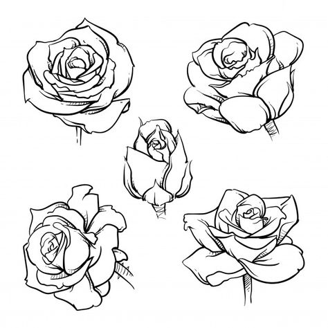 Rose Reference, Rose Outline, Cat Drawing Tutorial, Rose Sketch, Zestaw Ikon, Flower Drawing Tutorials, Flower Art Drawing, Rose Drawing, Roses Drawing