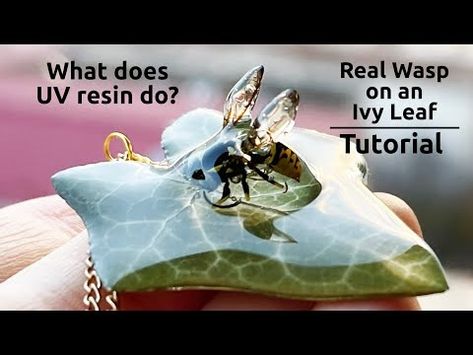 (7) What does UV resin do? │ Real Wasp on an Ivy Leaf Tutorial - YouTube Dip Resin, Liquid Resin, Ivy Leaf, Resin Tutorial, Wasp, Uv Resin, Uv Light, Ivy, Dip