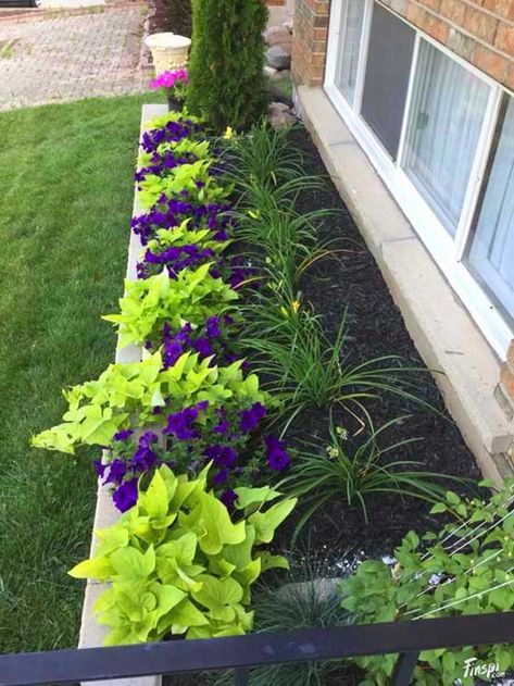 Under windows small flowers garden ideas. #gardens #gardening #gardenideas #gardeningtips #decorhomeideas Small Flower Gardens, نباتات منزلية, Front Yard Design, Have Inspiration, Front Yard Garden, Yard Design, Landscaping Tips, Front Yard Landscaping Design, Lawn And Garden