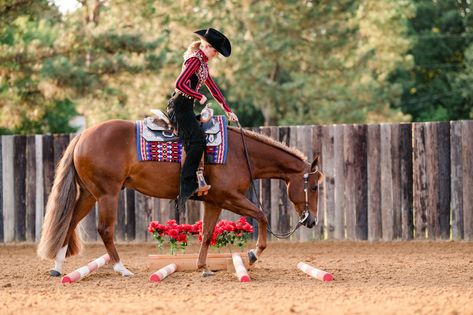 Western Pleasure Outfit, Trail Horse, Aqha Horses, Western Trail, Reining Horses, Show Horse, Western Pleasure, Western Riding, Western Horse