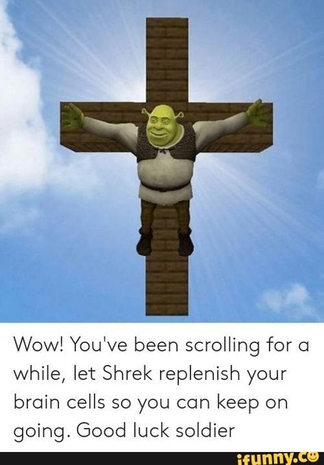 Wow! You've been scrolling for 0 while, let Shrek replenish your brain cells so you can keep on going. Good luck soldier – popular memes on the site iFunny.co #popular #memes #spicy #dank #cringe #youve #been #scrolling #while #let #replenish #brain #cells #can #going #good #soldier #pic Shrek Funny, Shrek Memes, Keep On Going, Funny Disney Memes, Brain Cells, Disney Memes, Sports Humor, Disney Funny, Shrek