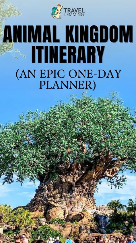 The Animal Kingdom tree at Disney's Animal Kingdom in Florida Animal Kingdom Itinerary, Animal Kingdom Rides, Discovery Island, Animal Kingdom Lodge, Day Planner, Perfect Itinerary, Disney World Trip, Disney World Resorts, Florida Travel