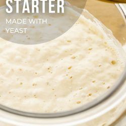 Yeast Sourdough Starter, Sour Dough Starter Recipe With Yeast, Sourdough Starter Using Yeast, How To Make Sourdough Starter With Yeast, Easy Sourdough Starter With Yeast, Sourdough Starter Recipe With Yeast, Sourdough Starter With Yeast, Easy Sourdough Starter, Dough Starter Recipe