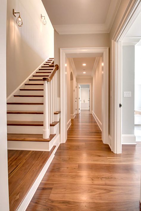 Stairway and hallway with Black Walnut floor by Oak & Broad Black Walnut Flooring, Wood Floor Colors, Hardwood Floor Colors, Walnut Floors, Wood Floors Wide Plank, Ceiling Design Modern, Floor Colors, Timber Flooring, Wide Plank