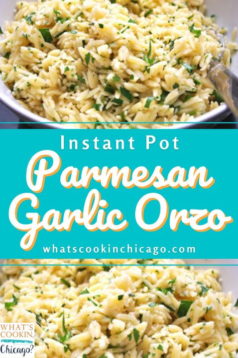 Garlic Parmesan Orzo, Creamy Orzo Recipes, Garlic Orzo, Meals Pasta, Orzo Pasta Recipes, Parmesan Orzo, Creamy Orzo, Rice Substitute, Orzo Recipe