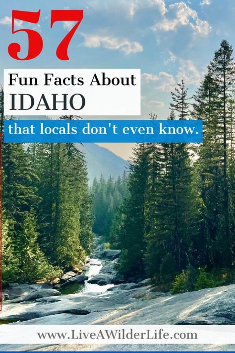 Coeur D'alene Idaho, Sawtooth Mountains, Idaho Travel, Bike Rides, Coeur D'alene, Round Up, Interesting Facts, Travel Itinerary, Hot Springs