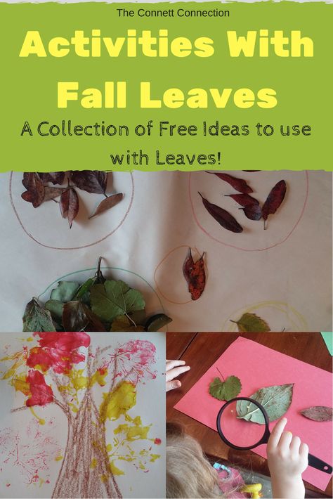 FREE -- Activities you can do with leaves you find in your yard! (Fall/Autumn) Home School Connection Activities, Leaf Activities, Special Education Science, Autumn Teaching Ideas, Early Childhood Education Activities, Fall Science, Fall Lessons, Education Activities, Home Schooling