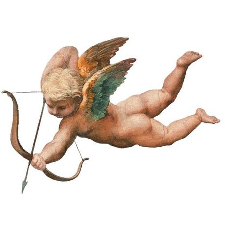 Cherub Art, Cupid Tattoo, Cherub Tattoo, Ange Demon, 사진 촬영 포즈, Angel Aesthetic, Angel Art, Aesthetic Images, Aesthetic Stickers