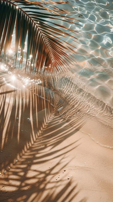 Tropical beach palm shadows sunlight | free image by rawpixel.com / Nunny Tropical Beach Wallpaper Iphone, Surf Wallpaper Aesthetic, Beach Ipad Wallpaper, Beach Boho Aesthetic, Wallpaper Backgrounds Beach, The Ocean Wallpaper, Moodboard Portfolio, Palm Trees Aesthetic, Beach Phone Wallpaper