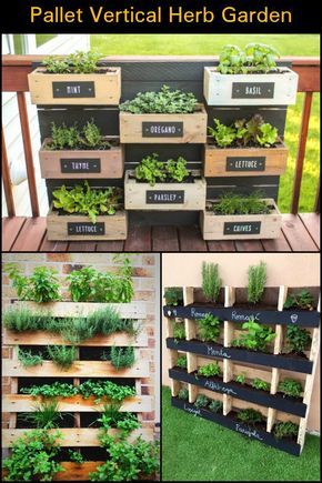 How Clever is This? A Vertical Herb Garden Made From Recycled Pallets! Palette Herb Garden, Vertical Herb Gardens, Plantarea Legumelor, Herbs Growing, Herb Garden Pallet, Outdoor Herb Garden, Vertical Vegetable Garden, نباتات منزلية, Vertical Herb Garden