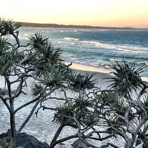 Cabarita Beach NSW Australia Cabarita Beach, Resort Vibes, Lifestyle Content, Boho Modern, Nsw Australia, Modern Transitional, Byron Bay, Australia Travel, Modern Boho