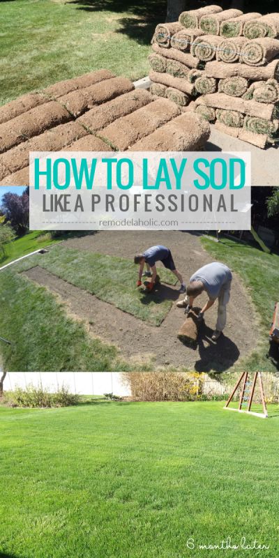 How To Lay Sod, Diy Concrete Patio, Sod Installation, Planting Grass, Lawn Care Business, Pavers Backyard, Porch Living, Landscaping Business, Diy Lawn