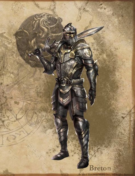 Skyrim Art, Elder Scrolls Art, Elder Scrolls Online, The Elder Scrolls, Knight Art, Knight Armor, Fantasy Male, Fantasy Armor, Fantasy Rpg