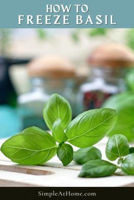 Basil: How To Freeze This Amazing Herb For Later Use — Simple At Home How To Freeze Fresh Basil, How To Freeze Fresh Basil Leaves, Freezing Butter, How To Freeze Basil, Can You Freeze Eggs, Preserving Basil, Homestead Cooking, Easy Pasta Sauce, Growing Basil