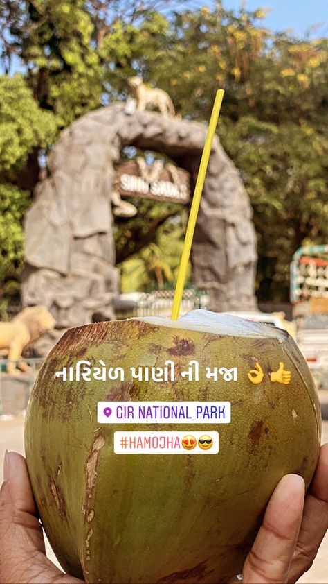 Coconut water enjoyed at sasan gir Sasan Gir, Coconut Water, Caramel Apples, Caramel, Coconut, Fruit, Water