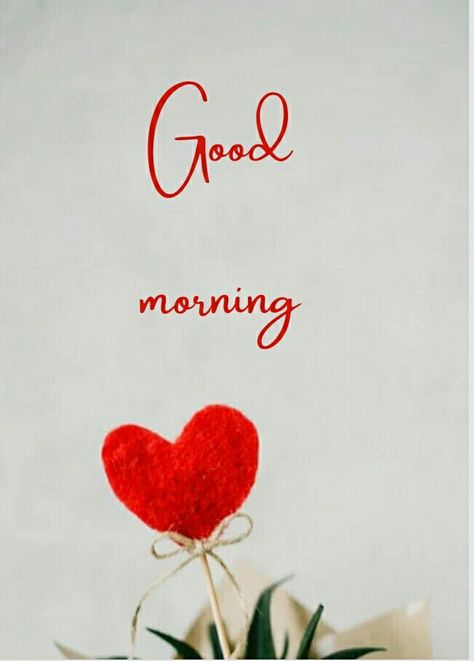 Good Morning Sweet Heart, Electrician Logo, Good Morning Handsome Quotes, Good Morning Gif Images, Good Morning Sister Quotes, Create Your Own Sunshine, Good Morning Tea, Good Morning Handsome, Good Morning Sister