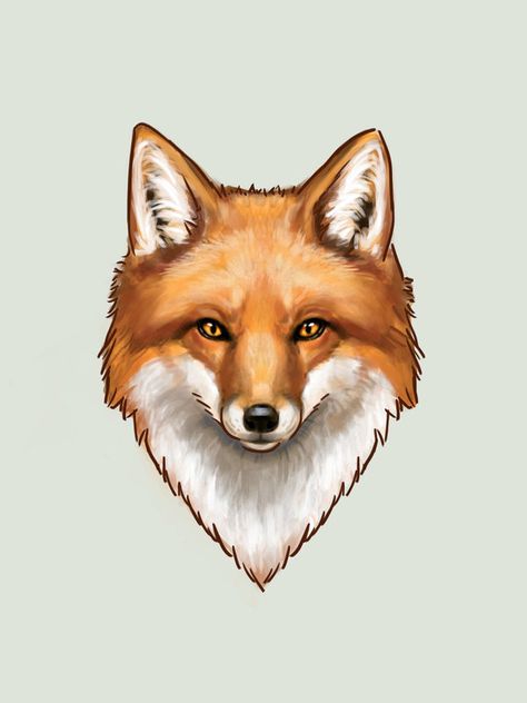 Fox Head Illustration, Fox Portrait Drawing, Fox Face Drawing, Fox Head Drawing, Happy Fox, Fox Drawing, Fox Hat, Fox Face, Drawing Heads