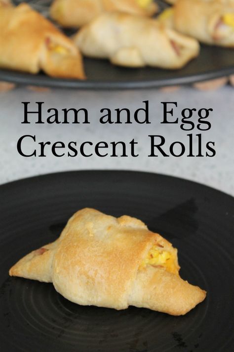 Ham and Egg Crescent Rolls | These Ham and Egg Crescent Rolls are the perfect easy breakfast recipe. In about 20 minutes you can have these Ham and Egg Crescent Rolls on the breakfast table. Read more breakfast recipes, sweet treats and easy recipes on foodwinesunshine.com | Food Wine Sunshine #easyrecipes #breakfastrecipes #foodblog #foodblogger via @foodwinesun Breakfast Crescent, Breakfast Ham, Crescent Breakfast, Rolls Food, Florida Recipes, Wine Tips, Rolls Easy, Cooking Breakfast, Breakfast Crescent Rolls