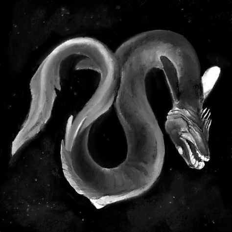 Frilled Shark Drawing, Frilled Shark Art, Shark With Mouth Open, Frilled Shark, Black Tip Reef Shark, Shark Surrounded By Fish, Country Art, Sharks, No Frills