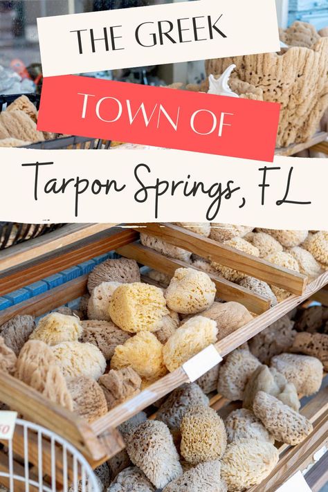 Tarpon Springs, Florida travel blog post pin Places To Visit In Florida, Florida Vacation Spots, Tarpon Springs Florida, Greek Town, Florida Travel Destinations, Florida Travel Guide, Florida Destinations, Florida Springs, Springs Florida