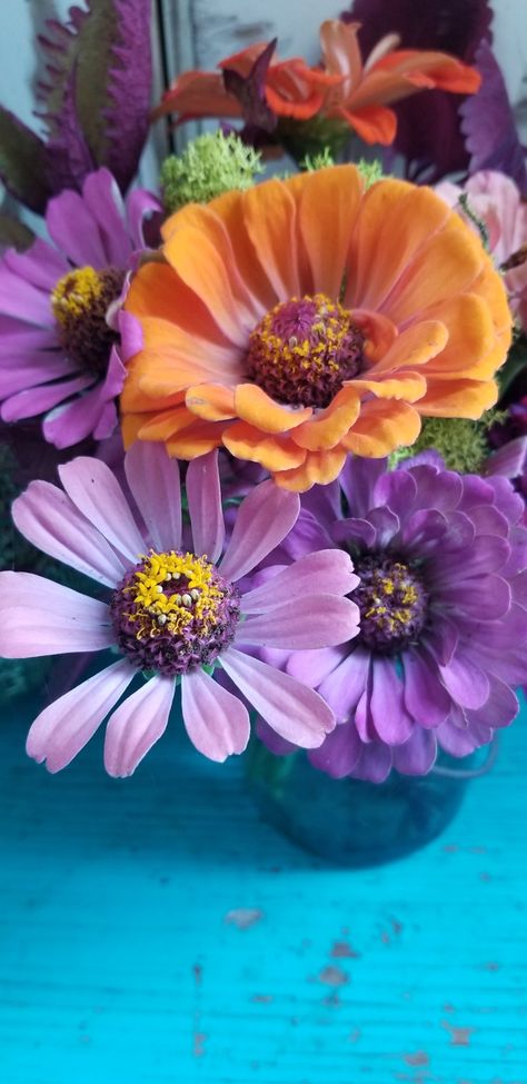 Lilac And Orange Aesthetic, Lime Images, Split Complementary Color Scheme, Lilac And Orange, Split Complementary Colors, Wedding Color Pallet, Apartment Vibes, Orange Color Palettes, Teal Coral