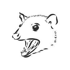 Premium Vector | Vector sketch possum muzzle possum vector illustration Possum Sketch, Opossum Drawing, Possum Drawing, Pumpkin Template, Stencil Templates, Vector Sketch, Draw Something, Cute Frogs, Trippy Art