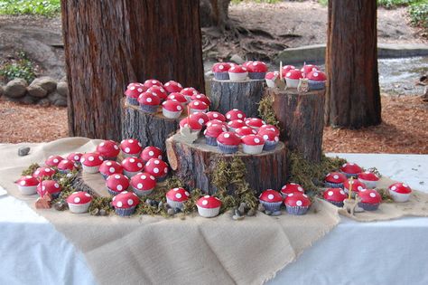 Enchanted Forest: Love the way cupcakes are naturally displayed Fairy Tale Cupcakes, Mushroom Cupcakes Woodland, Enchanted Forest Cupcakes, Forest Birthday Party Ideas, Mushroom Cakes, Mushroom Cupcakes, Mushroom Party, Smurfs Party, Cupcakes Graduation