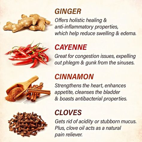 Benefits Of Cloves, Cloves Health Benefits, Food For Kidney Health, Find Your People, Ayurvedic Healing, Food Health Benefits, Organic Supplements, Herbal Healing, Home Health Remedies