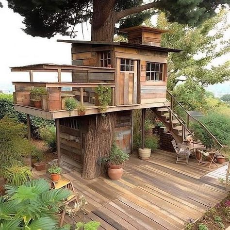 Livable Tree Houses Plans, Big Tree House, Tree House Cabin, Tree Homes, Beautiful Tree Houses, Treehouse Masters, Tree House Plans, Tree Fort, Tree House Diy