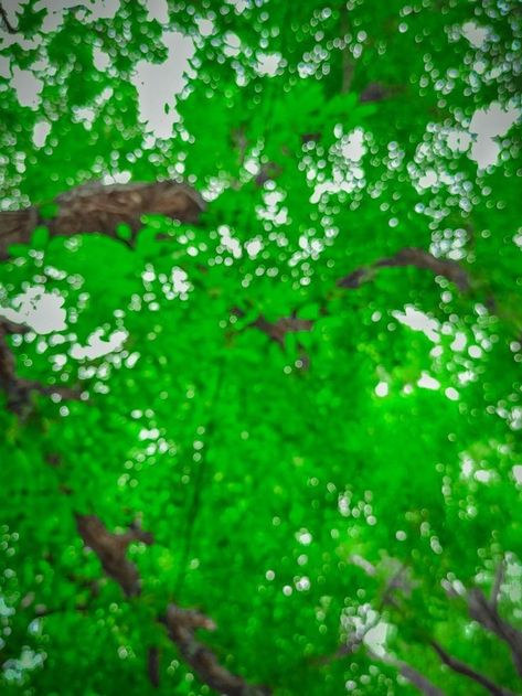 Green Begraund Hd, Dslr Hd Background, Bagraund Photo Hd, Dslr Background Images Full Hd Photo Editor, Blur Photo Background 4k, Bagraund Photos, Hd Green Background, Face Photo Editing, Dharmveer Editz