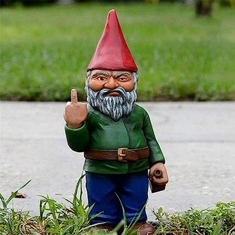 Middle Finger Picture, Funny Garden Gnomes, Images Pop Art, Lawn Gnome, Outside Garden, Forearm Sleeve Tattoos, Life Ring, Gnome Statues, Garden Gnomes