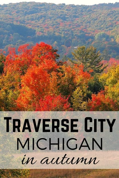 Traverse City Michigan Fall, Fall In Michigan, Michigan Fall, Friends Trip, Travel Wisconsin, Michigan Adventures, Torch Lake, Michigan Road Trip, Fall Vacation