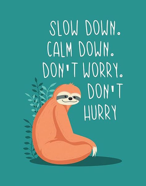 Sloth Illustration, Sloth Quote, Sloth Life, Cute Animal Quotes, Sloth Art, Funny Sloth, Poster Nursery, Sloth Lovers, Sloths Funny