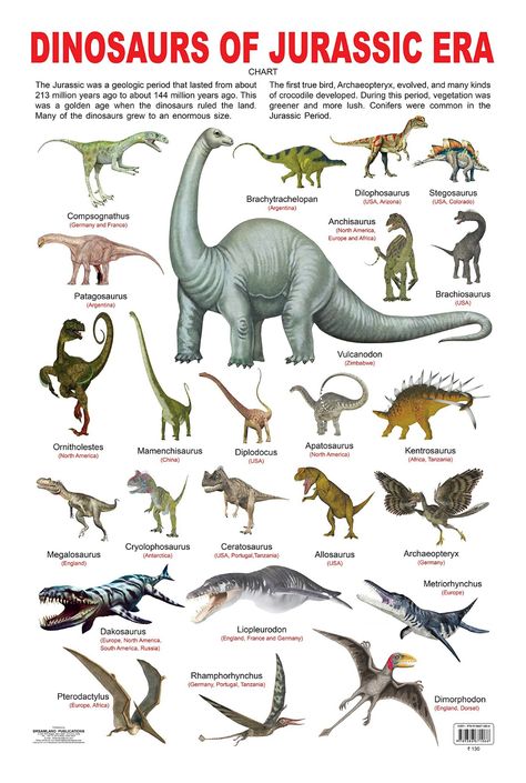 Triassic Period Dinosaurs, Evolution Of Dinosaurs, Scientifically Accurate Dinosaurs, Dino Facts, Dinosaur Information, Types Of Dinosaurs, Dinosaur Types, Prehistoric Animals Dinosaurs, Dinosaur Poster