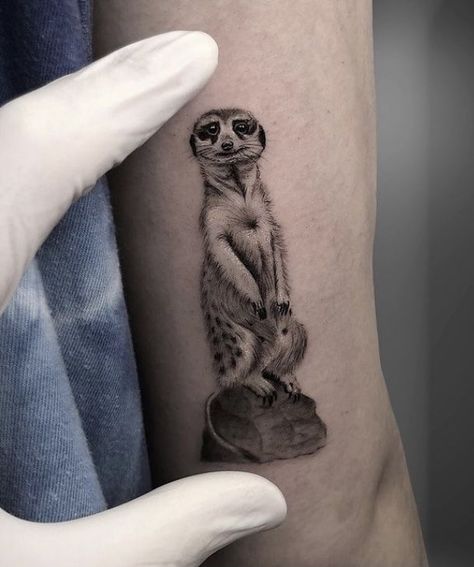 Animal Pfp Aesthetic, Meerkat Tattoo, Animal Pfp Funny, Animal Wallpaper Aesthetic, Animal Character Design, Clock And Rose Tattoo, Character Pfp, Animal Pfp, Animal Couple