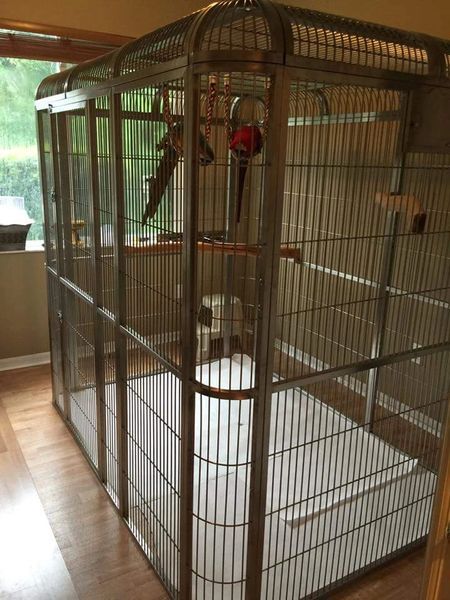 Big Bird Cage, Parrot Cages, Flight Cage, Birds Parrots, Large Bird Cages, Budgie Parakeet, Tiny House Interior Design, Bird Aviary, Parrot Cage