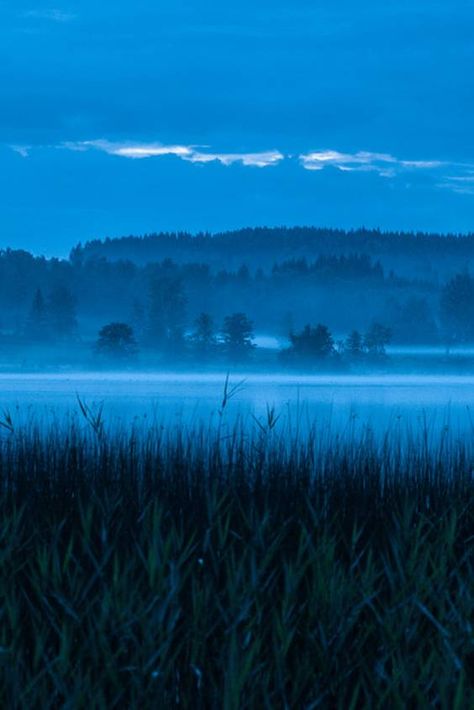 Check out "Blue Hours" in Sweden Blue Hour Aesthetic, Wallpaper Backgrounds Blue, Blue Scenery, Blue Hour Photography, Backgrounds Blue, The Blue Hour, Blue Day, Blue Landscape, Dark Blue Wallpaper