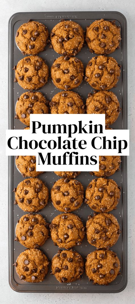 Pumpkin Chocolate Chip Muffins pin with overlay text Pumpkin Chip Muffins, Baking Recipes With Pumpkin, Pumpkin And Chocolate Chip Muffins, Pumpkin Chocolate Chip Muffins Moist, Oatmeal Pumpkin Chocolate Chip Muffins, Pumpkin Chocolate Recipes, Pumpkin Chocolate Chip Muffins With Spice Cake, Pumpkin Chocolate Chip Muffins Easy, Banana Pumpkin Chocolate Chip Muffins