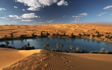 Siwa Oasis, Desert Dunes, Socotra, Egypt Tours, Guilin, Desert Oasis, Safari Tour, The Tourist, Adventure Tours